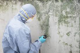 Mold Remediation for Vacation Homes in Dos Palos, CA